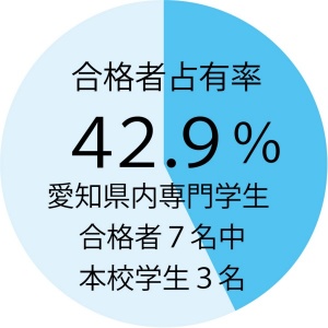 ネットワークスペシャリスト試験の合格者占有率円グラフ