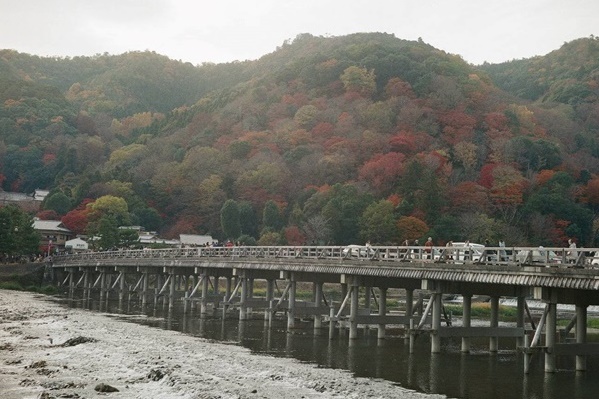 嵐山の風景写真