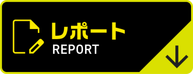 レポート